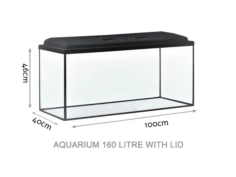 DIVERSA Guardian Glass Aquarium Fish Tank with LED Lid – 160 Litre