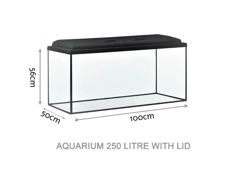 DIVERSA Guardian Glass Aquarium Fish Tank with LED Lid – 250 Litre