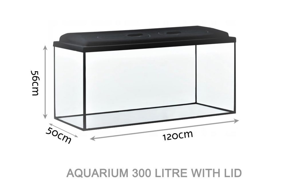 Aquarium 300l dimensions