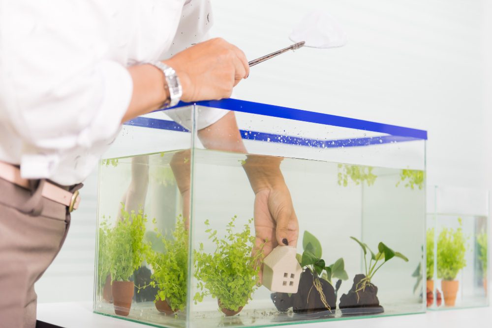 Learn how to care for a glass home aquarium, keep water clear, protect fish health, clean safely, and maintain a stable, beautiful tank every day.